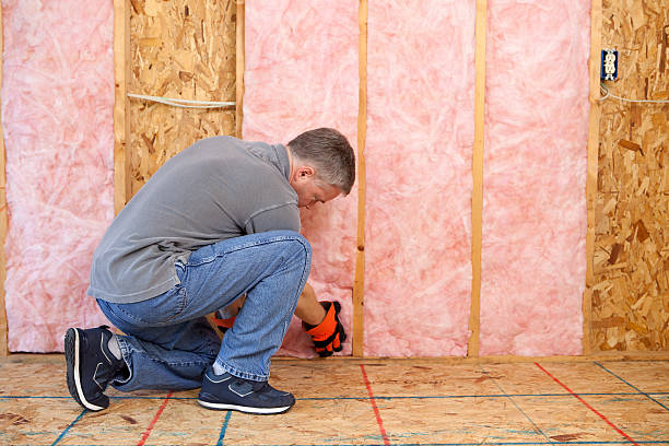 Best Residential Insulation in Bear Creek, AK